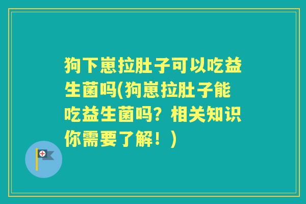 狗下崽拉肚子可以吃益生菌吗(狗崽拉肚子能吃益生菌吗?相关知识你需要了解!) 狗下崽拉肚子可以吃益生菌吗(狗崽拉肚子能吃益生菌吗?相关知识你需要了解!)