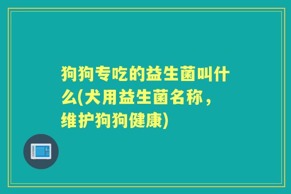 狗狗专吃的益生菌叫什么(犬用益生菌名称,维护狗狗健康) 狗狗专吃的益生菌叫什么(犬用益生菌名称,维护狗狗健康)