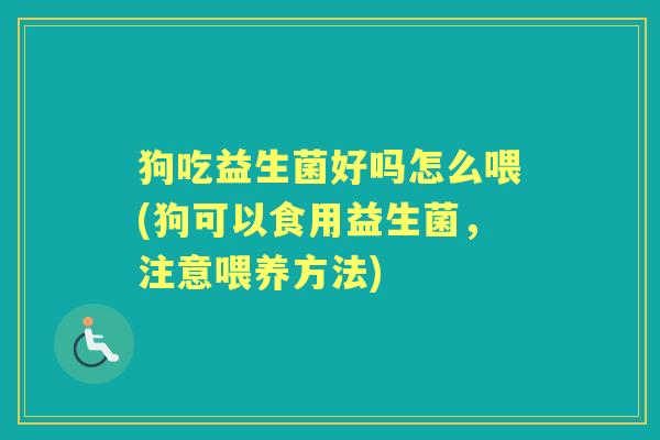 狗吃益生菌好吗怎么喂(狗可以食用益生菌,注意喂养方法) 狗吃益生菌好吗怎么喂(狗可以食用益生菌,注意喂养方法)