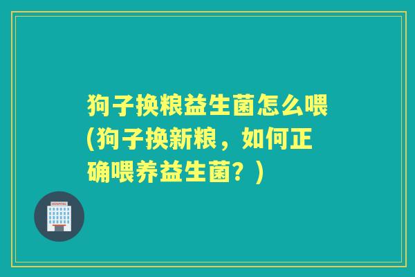 狗子换粮益生菌怎么喂(狗子换新粮,如何正确喂养益生菌?) 狗子换粮益生菌怎么喂(狗子换新粮,如何正确喂养益生菌?)