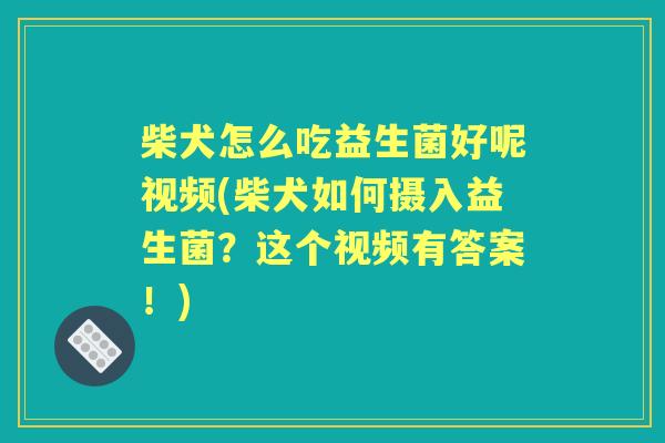 柴犬怎么吃益生菌好呢视频(柴犬如何摄入益生菌?这个视频有答案!) 柴犬怎么吃益生菌好呢视频(柴犬如何摄入益生菌?这个视频有答案!)