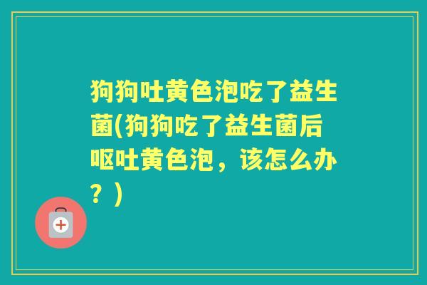狗狗吐黄色泡吃了益生菌(狗狗吃了益生菌后黄色泡,该怎么办?) 狗狗吐黄色泡吃了益生菌(狗狗吃了益生菌后黄色泡,该怎么办?)