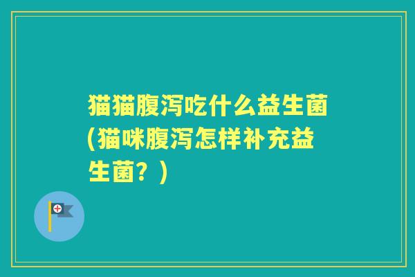 猫猫吃什么益生菌(猫咪怎样补充益生菌?) 猫猫吃什么益生菌(猫咪怎样补充益生菌?)