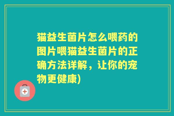 猫益生菌片怎么喂药的图片喂猫益生菌片的正确方法详解,让你的宠物更健康) 猫益生菌片怎么喂药的图片喂猫益生菌片的正确方法详解,让你的宠物更健康)