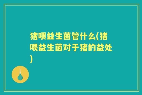 猪喂益生菌管什么(猪喂益生菌对于猪的益处)