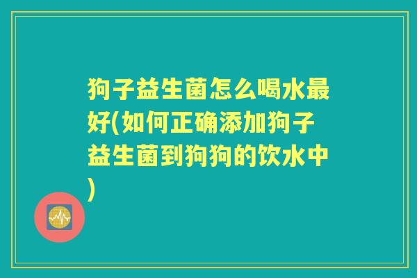 狗子益生菌怎么喝水好(如何正确添加狗子益生菌到狗狗的饮水中) 狗子益生菌怎么喝水好(如何正确添加狗子益生菌到狗狗的饮水中)