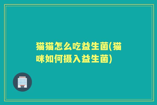 猫猫怎么吃益生菌(猫咪如何摄入益生菌) 猫猫怎么吃益生菌(猫咪如何摄入益生菌)