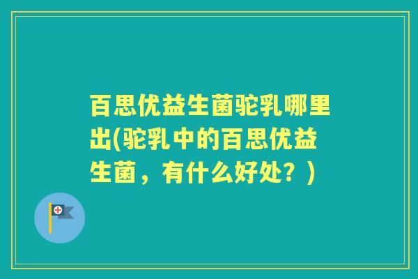 百思优益生菌驼乳哪里出(驼乳中的百思优益生菌，有什么好处？)