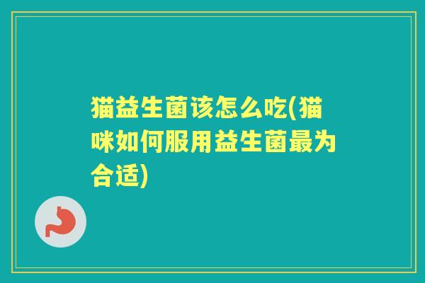 猫益生菌该怎么吃(猫咪如何服用益生菌为合适)