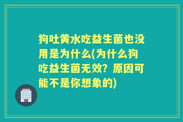 狗吐黄水吃益生菌也没用是为什么(为什么狗吃益生菌无效?原因可能不是你想象的) 狗吐黄水吃益生菌也没用是为什么(为什么狗吃益生菌无效?原因可能不是你想象的)