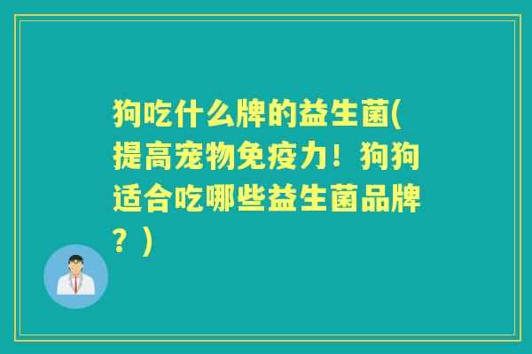 狗吃什么牌的益生菌(提高宠物力!狗狗适合吃哪些益生菌品牌?) 狗吃什么牌的益生菌(提高宠物力!狗狗适合吃哪些益生菌品牌?)