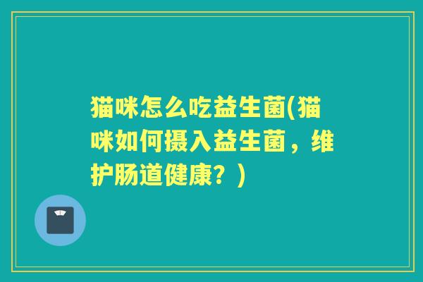 猫咪怎么吃益生菌(猫咪如何摄入益生菌,维护肠道健康?) 猫咪怎么吃益生菌(猫咪如何摄入益生菌,维护肠道健康?)