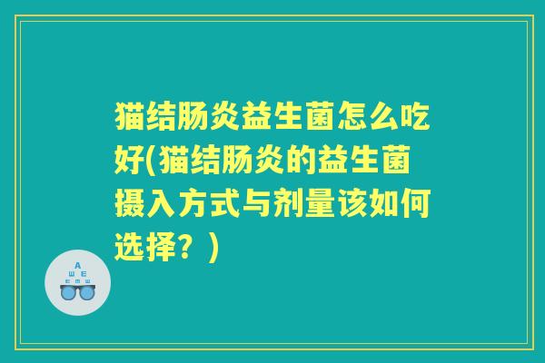 猫结益生菌怎么吃好(猫结的益生菌摄入方式与剂量该如何选择?) 猫结益生菌怎么吃好(猫结的益生菌摄入方式与剂量该如何选择?)
