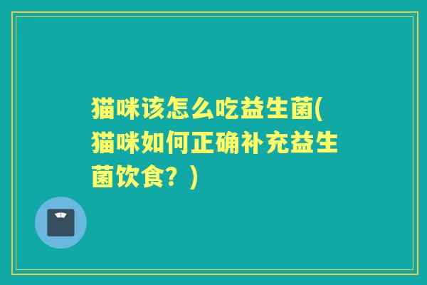猫咪该怎么吃益生菌(猫咪如何正确补充益生菌饮食?) 猫咪该怎么吃益生菌(猫咪如何正确补充益生菌饮食?)