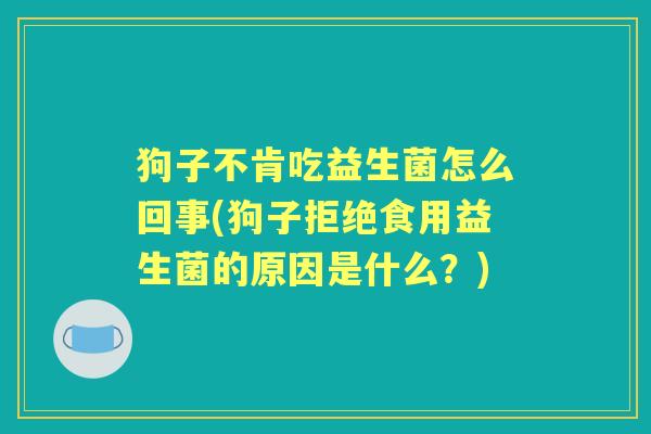 狗子不肯吃益生菌怎么回事(狗子拒绝食用益生菌的原因是什么?) 狗子不肯吃益生菌怎么回事(狗子拒绝食用益生菌的原因是什么?)
