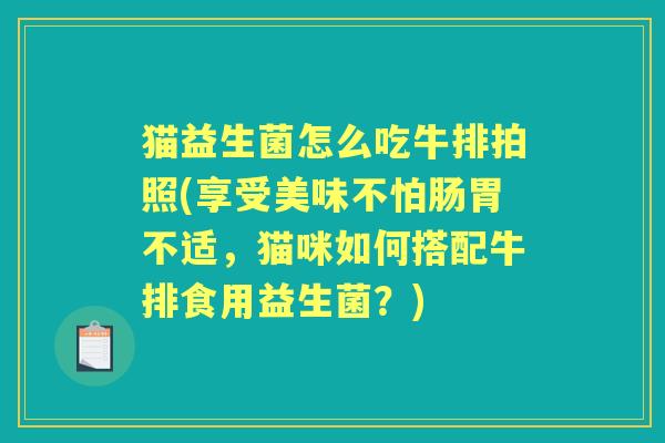 猫益生菌怎么吃牛排拍照(享受美味不怕肠胃不适，猫咪如何搭配牛排食用益生菌？)