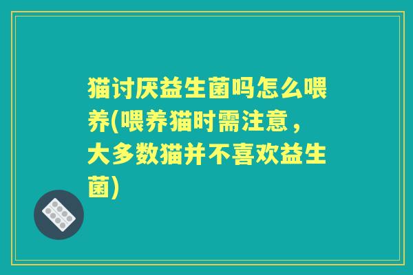 猫讨厌益生菌吗怎么喂养(喂养猫时需注意,大多数猫并不喜欢益生菌) 猫讨厌益生菌吗怎么喂养(喂养猫时需注意,大多数猫并不喜欢益生菌)