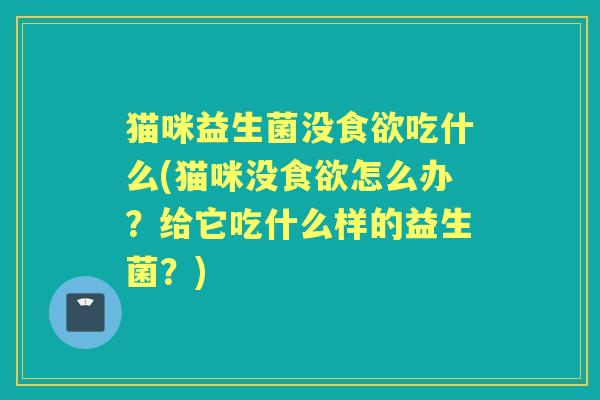 猫咪益生菌没吃什么(猫咪没怎么办？给它吃什么样的益生菌？)