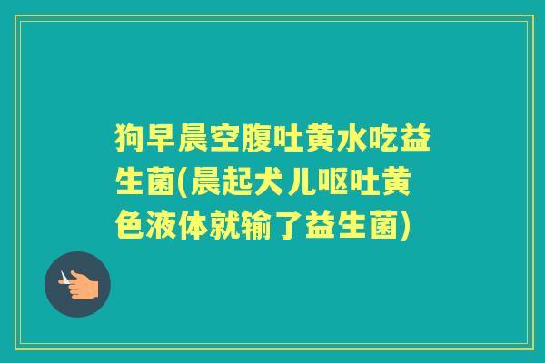 狗早晨空腹吐黄水吃益生菌(晨起犬儿黄色液体就输了益生菌) 狗早晨空腹吐黄水吃益生菌(晨起犬儿黄色液体就输了益生菌)