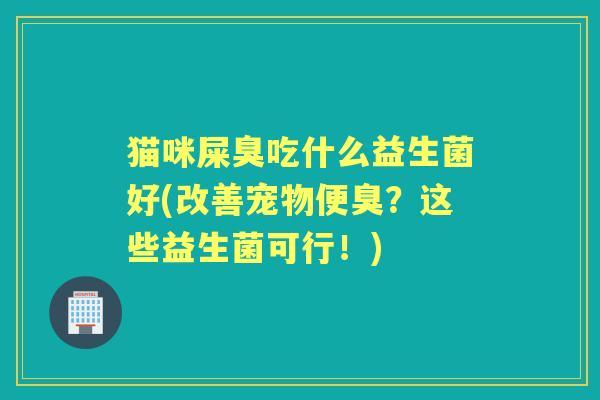 猫咪屎臭吃什么益生菌好(改善宠物便臭?这些益生菌可行!) 猫咪屎臭吃什么益生菌好(改善宠物便臭?这些益生菌可行!)