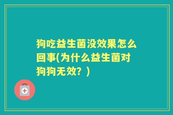 狗吃益生菌没效果怎么回事(为什么益生菌对狗狗无效?) 狗吃益生菌没效果怎么回事(为什么益生菌对狗狗无效?)