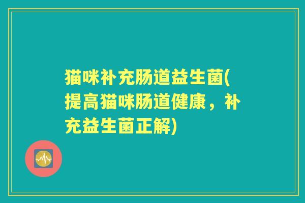 猫咪补充肠道益生菌(提高猫咪肠道健康,补充益生菌正解) 猫咪补充肠道益生菌(提高猫咪肠道健康,补充益生菌正解)