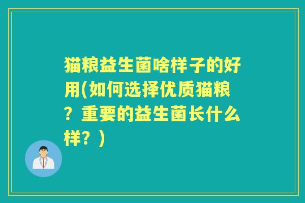 猫粮益生菌啥样子的好用(如何选择优质猫粮？重要的益生菌长什么样？)