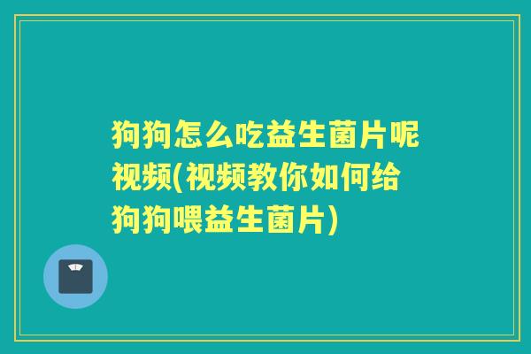 狗狗怎么吃益生菌片呢视频(视频教你如何给狗狗喂益生菌片) 狗狗怎么吃益生菌片呢视频(视频教你如何给狗狗喂益生菌片)