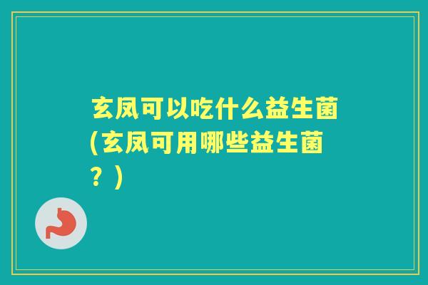 玄凤可以吃什么益生菌(玄凤可用哪些益生菌?) 玄凤可以吃什么益生菌(玄凤可用哪些益生菌?)