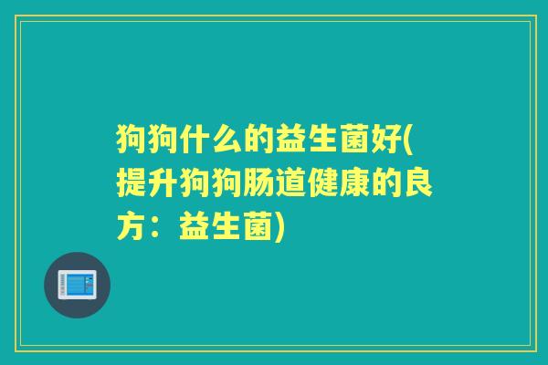 狗狗什么的益生菌好(提升狗狗肠道健康的良方：益生菌)