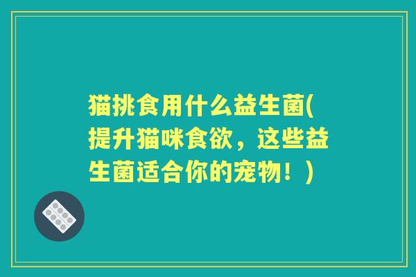 猫挑食用什么益生菌(提升猫咪,这些益生菌适合你的宠物!) 猫挑食用什么益生菌(提升猫咪,这些益生菌适合你的宠物!)