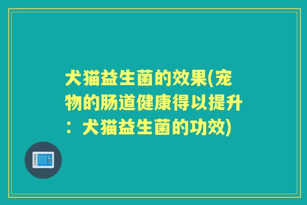 犬猫益生菌的效果(宠物的肠道健康得以提升:犬猫益生菌的功效) 犬猫益生菌的效果(宠物的肠道健康得以提升:犬猫益生菌的功效)
