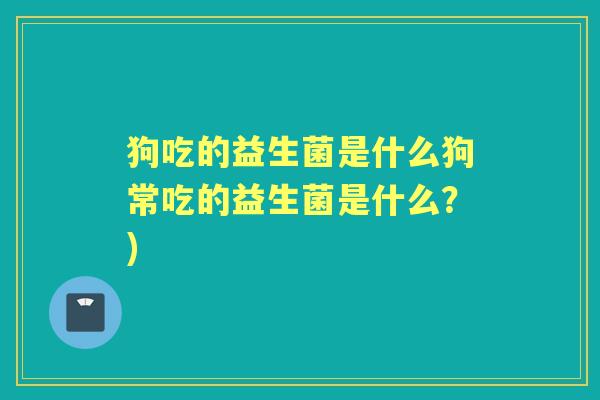 狗吃的益生菌是什么狗常吃的益生菌是什么？)