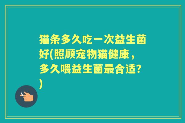 猫条多久吃一次益生菌好(照顾宠物猫健康,多久喂益生菌合适?) 猫条多久吃一次益生菌好(照顾宠物猫健康,多久喂益生菌合适?)
