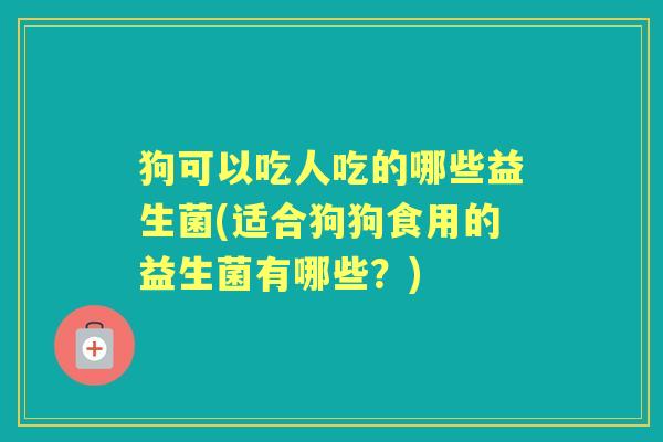 狗可以吃人吃的哪些益生菌(适合狗狗食用的益生菌有哪些?) 狗可以吃人吃的哪些益生菌(适合狗狗食用的益生菌有哪些?)