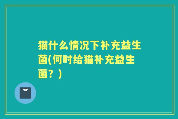 猫什么情况下补充益生菌(何时给猫补充益生菌?) 猫什么情况下补充益生菌(何时给猫补充益生菌?)