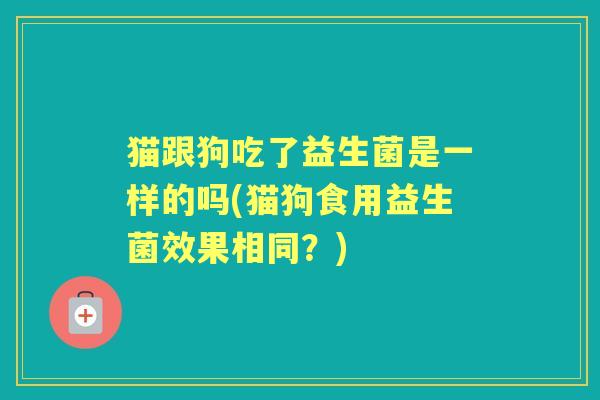 猫跟狗吃了益生菌是一样的吗(猫狗食用益生菌效果相同?) 猫跟狗吃了益生菌是一样的吗(猫狗食用益生菌效果相同?)