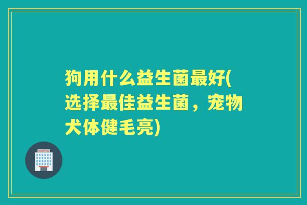狗用什么益生菌好(选择佳益生菌，宠物犬体健毛亮)