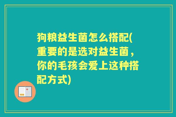 狗粮益生菌怎么搭配(重要的是选对益生菌,你的毛孩会爱上这种搭配方式) 狗粮益生菌怎么搭配(重要的是选对益生菌,你的毛孩会爱上这种搭配方式)