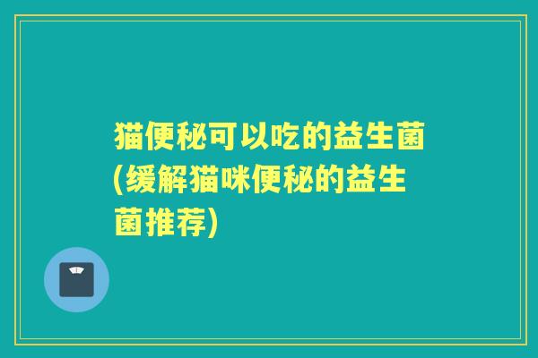 猫可以吃的益生菌(缓解猫咪的益生菌推荐)