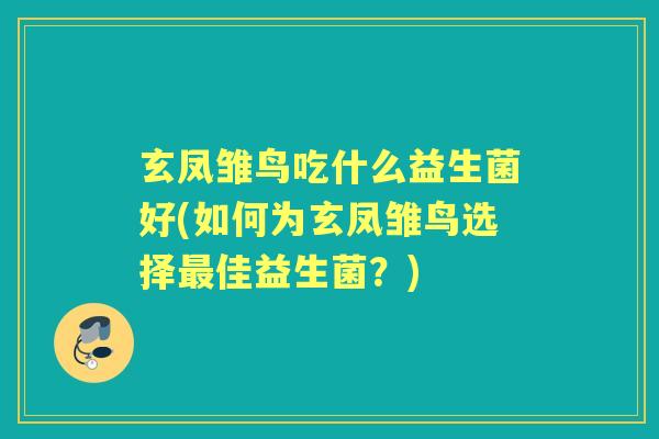 玄凤雏鸟吃什么益生菌好(如何为玄凤雏鸟选择佳益生菌?) 玄凤雏鸟吃什么益生菌好(如何为玄凤雏鸟选择佳益生菌?)