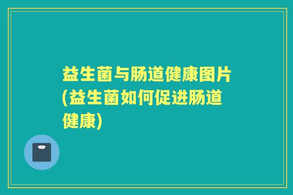 益生菌与肠道健康图片(益生菌如何促进肠道健康)