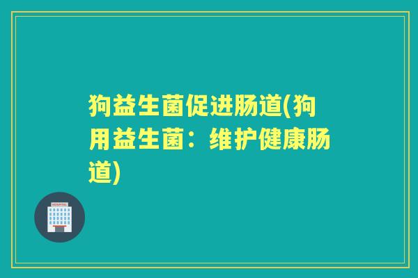 狗益生菌促进肠道(狗用益生菌:维护健康肠道) 狗益生菌促进肠道(狗用益生菌:维护健康肠道)