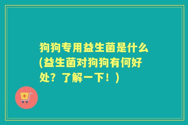 狗狗专用益生菌是什么(益生菌对狗狗有何好处?了解一下!) 狗狗专用益生菌是什么(益生菌对狗狗有何好处?了解一下!)