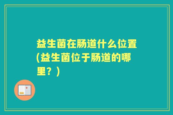 益生菌在肠道什么位置(益生菌位于肠道的哪里?) 益生菌在肠道什么位置(益生菌位于肠道的哪里?)