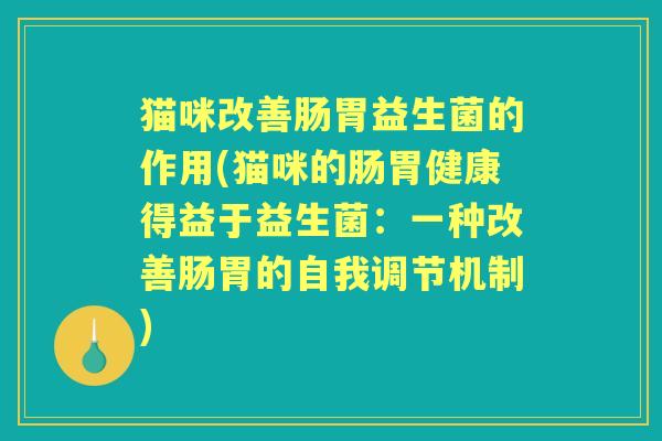 猫咪改善肠胃益生菌的作用(猫咪的肠胃健康得益于益生菌:一种改善肠胃的自我调节机制) 猫咪改善肠胃益生菌的作用(猫咪的肠胃健康得益于益生菌:一种改善肠胃的自我调节机制)