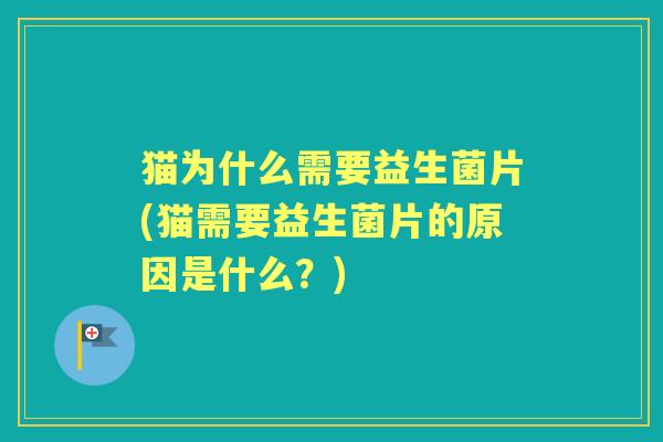 猫为什么需要益生菌片(猫需要益生菌片的原因是什么?) 猫为什么需要益生菌片(猫需要益生菌片的原因是什么?)