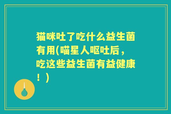 猫咪吐了吃什么益生菌有用(喵星人后,吃这些益生菌有益健康!) 猫咪吐了吃什么益生菌有用(喵星人后,吃这些益生菌有益健康!)