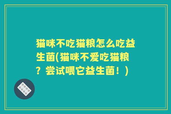 猫咪不吃猫粮怎么吃益生菌(猫咪不爱吃猫粮？尝试喂它益生菌！)