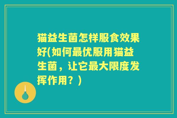 猫益生菌怎样服食效果好(如何优服用猫益生菌,让它大限度发挥作用?) 猫益生菌怎样服食效果好(如何优服用猫益生菌,让它大限度发挥作用?)